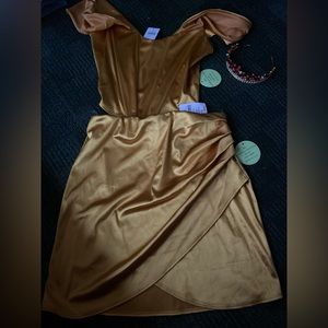 Beauty and the Beast Halloween Costume